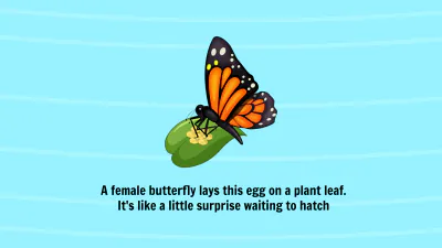 Free Life Cycle of A Butterfly Template to Edit Online