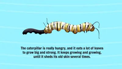 Free Life Cycle of A Butterfly Template to Edit Online