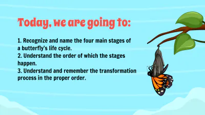 Free Life Cycle of A Butterfly Template to Edit Online