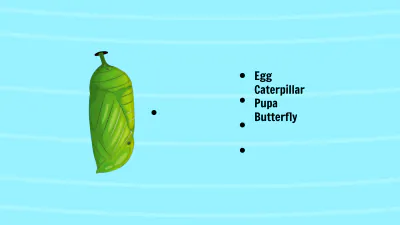 Free Life Cycle of A Butterfly Template to Edit Online