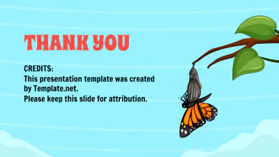Free Life Cycle of A Butterfly Template to Edit Online