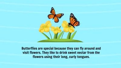 Free Life Cycle of A Butterfly Template to Edit Online