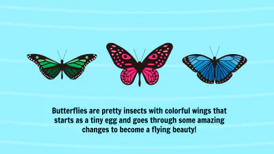 Free Life Cycle of A Butterfly Template to Edit Online
