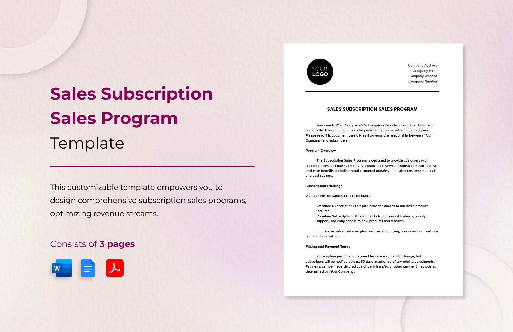 Sales Subscription Sales Program Template