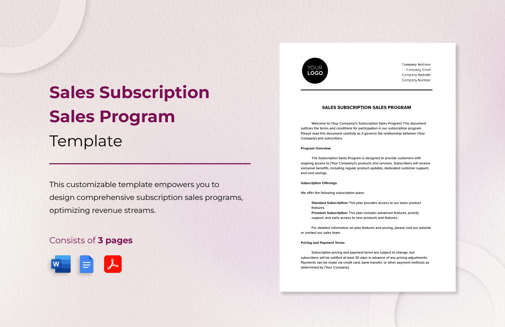 Sales Subscription Sales Program Template in Word, Google Docs, PDF