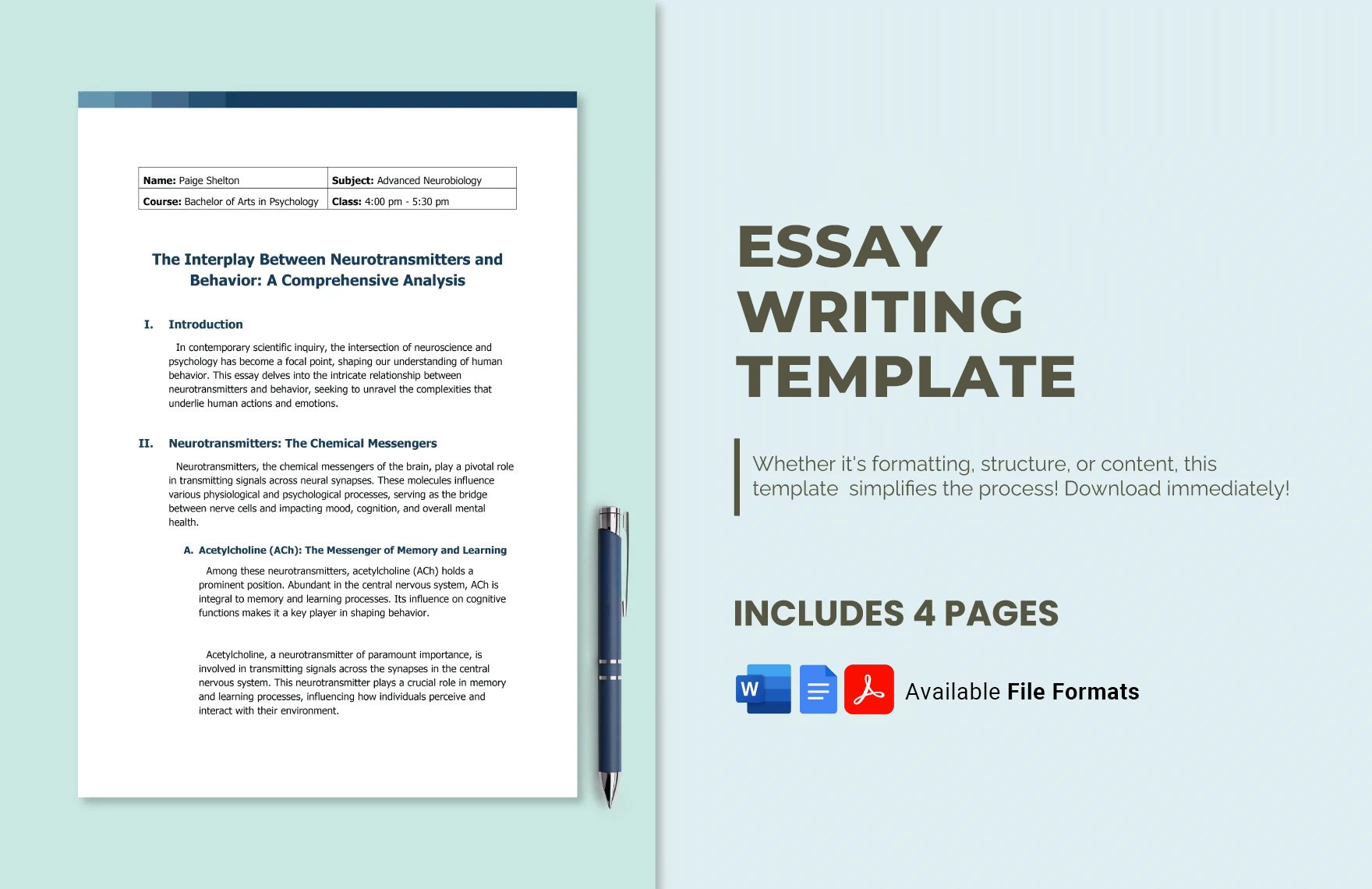 Free Essay Writing Template in Word, Google Docs, PDF