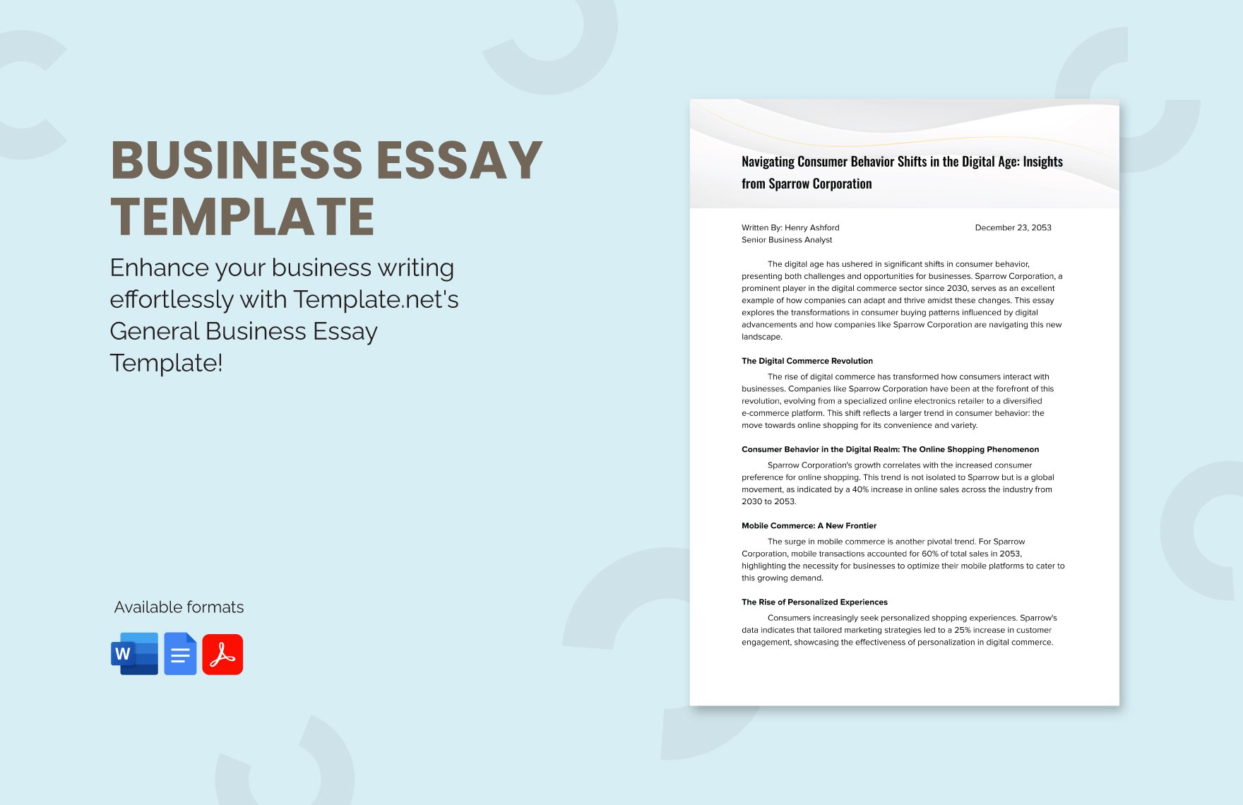 Business Essay Template