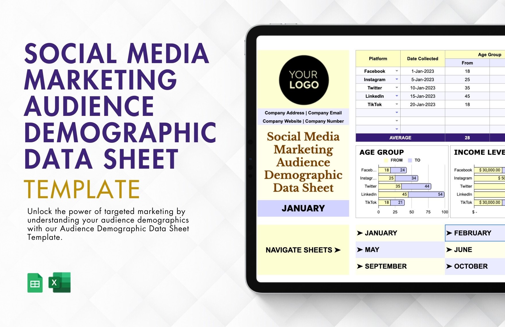 Social Media Marketing Audience Demographic Data Sheet Template