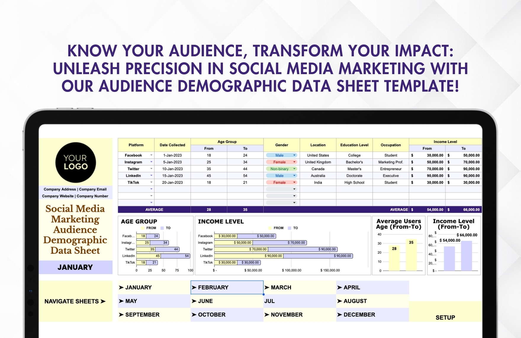 Social Media Marketing Audience Demographic Data Sheet Template