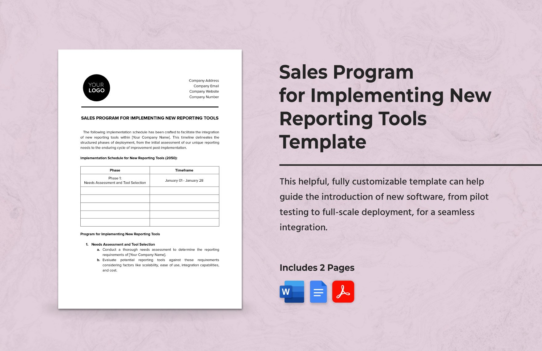 Sales Program for Implementing New Reporting Tools Template