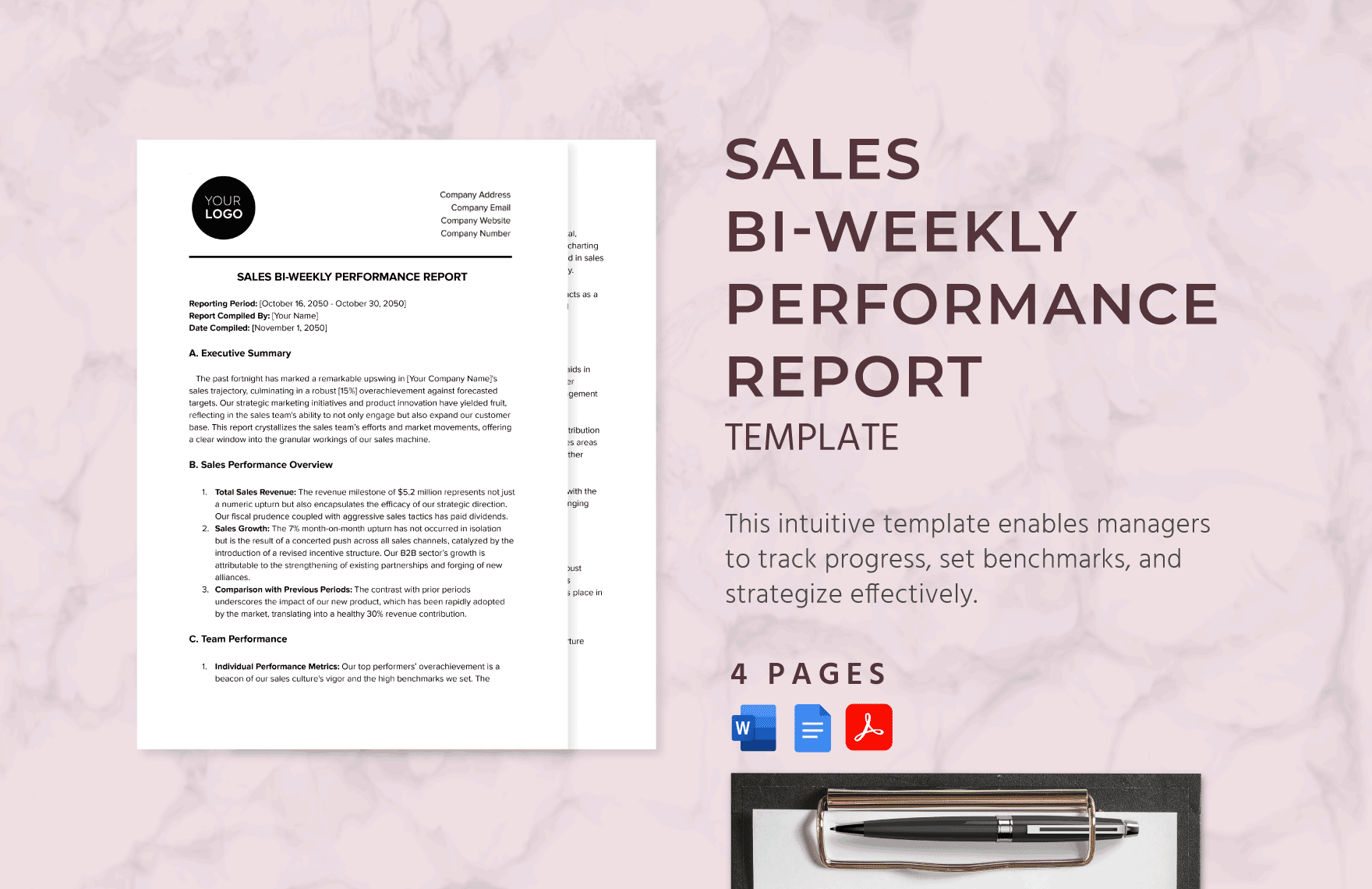 Sales Bi-weekly Performance Report Template