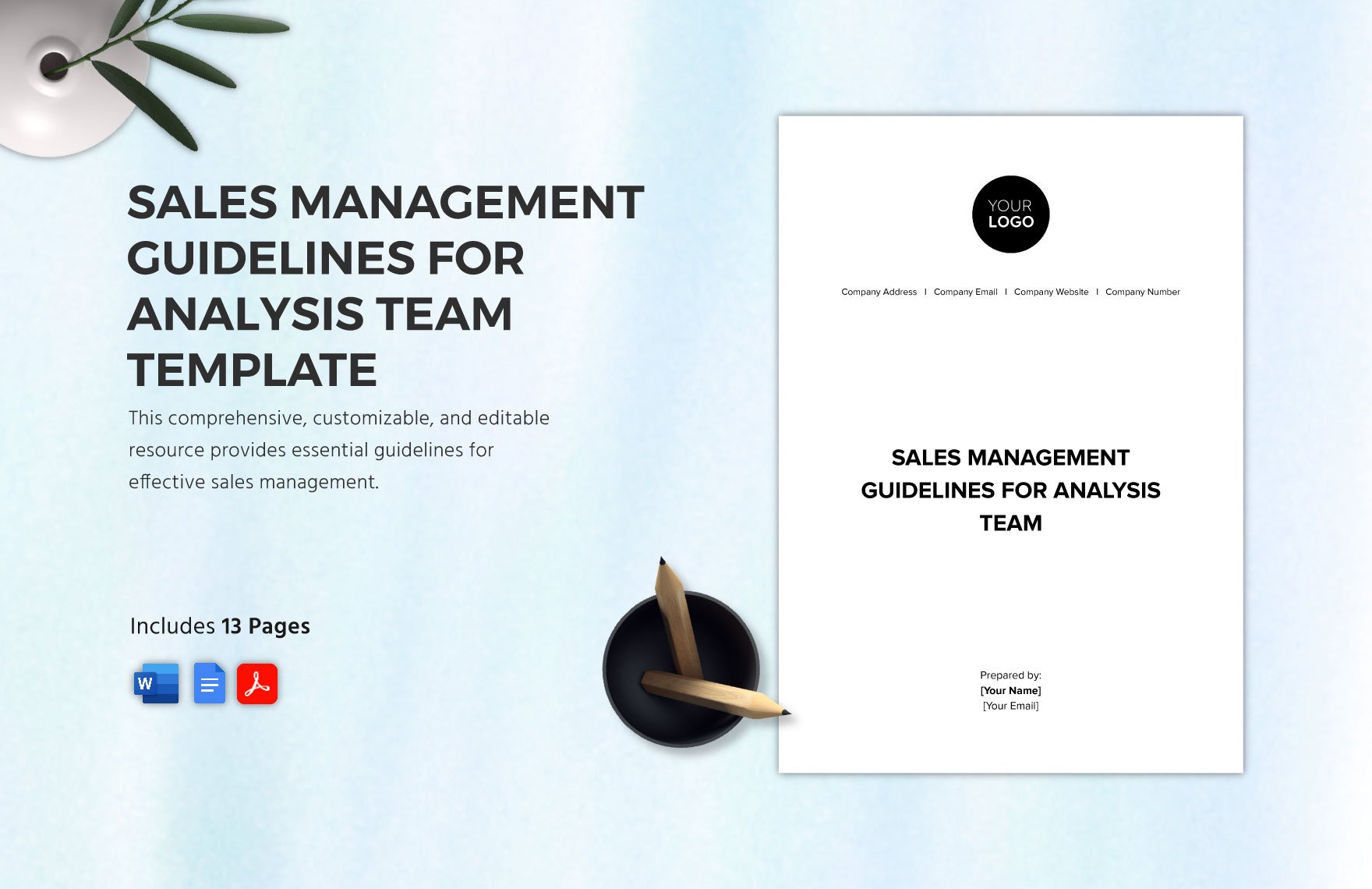 Sales Management Guidelines for Analysis Team Template in Word, Google Docs, PDF