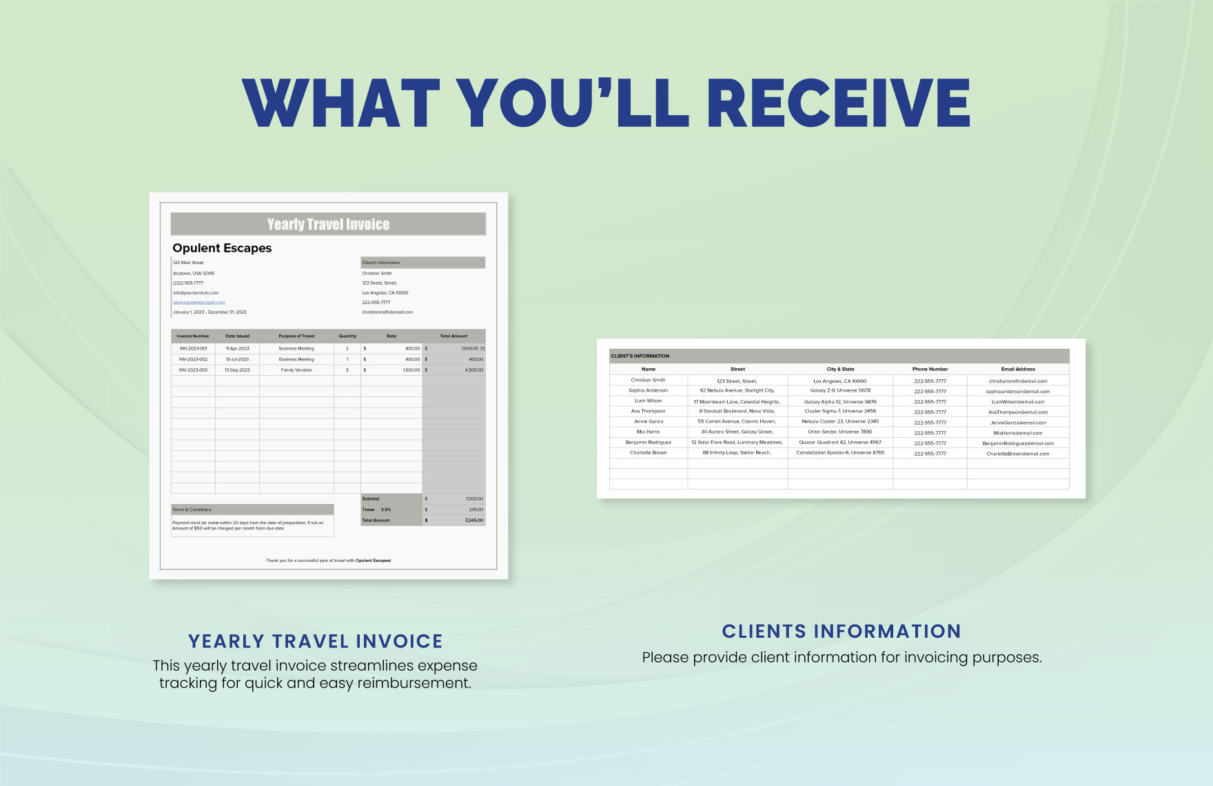 Yearly Travel Invoice Template