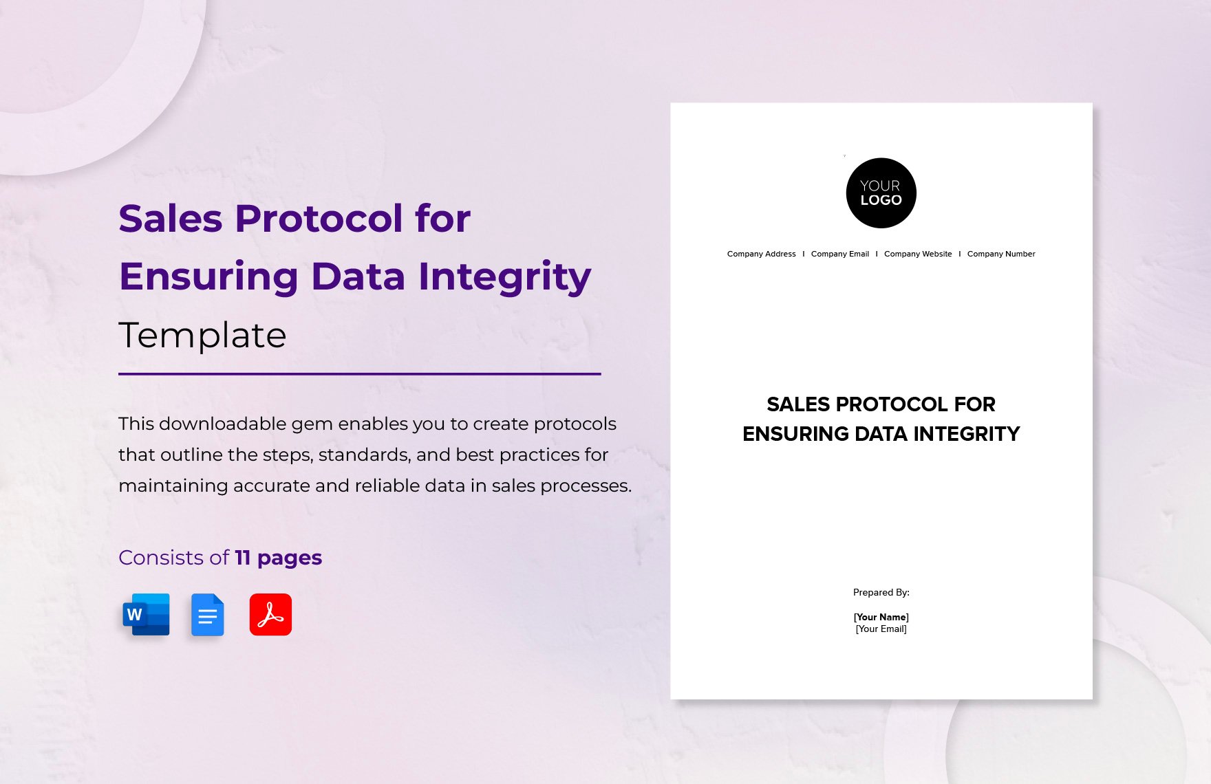 Sales Protocol for Ensuring Data Integrity Template
