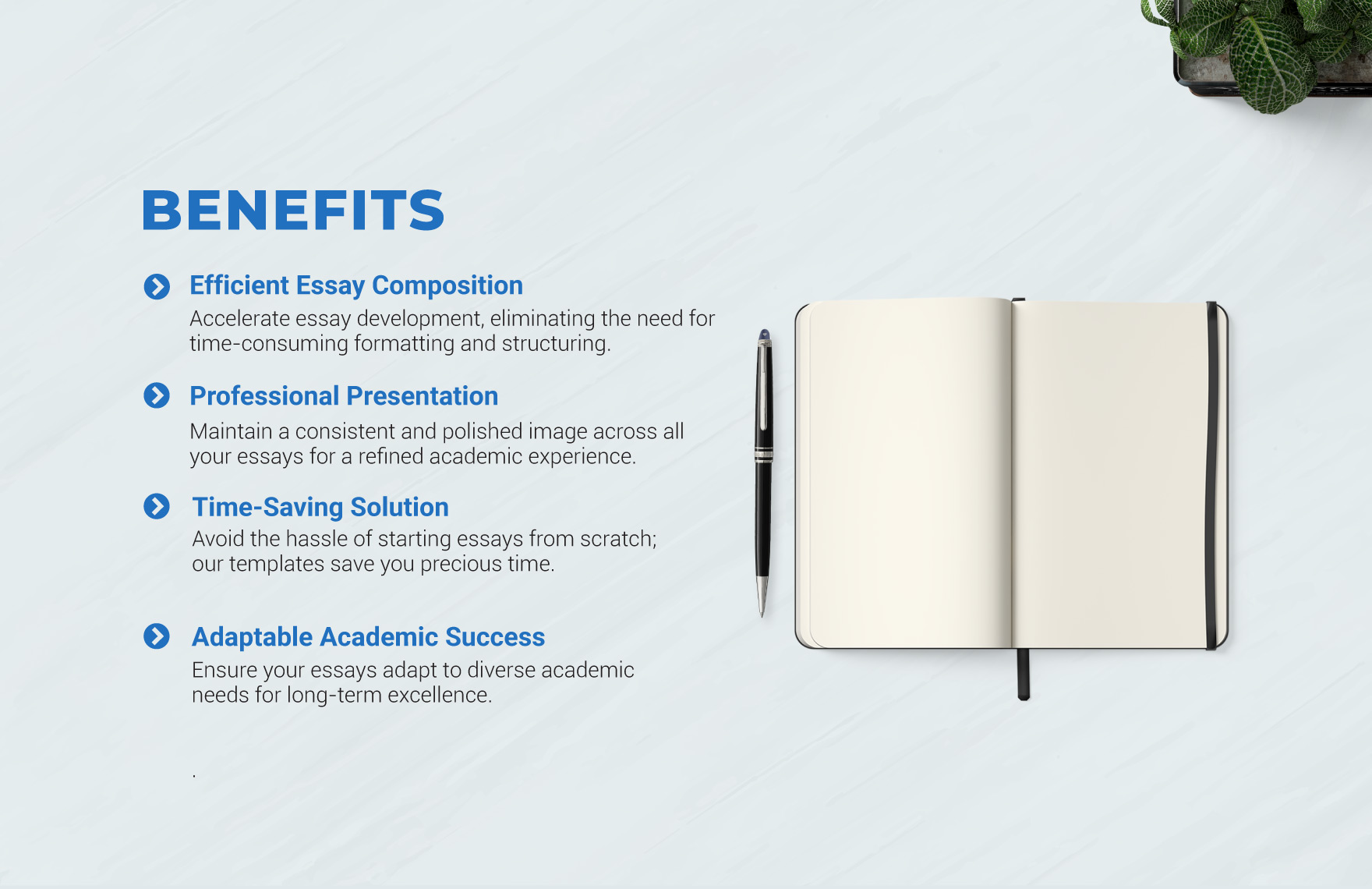 Project Essay Template