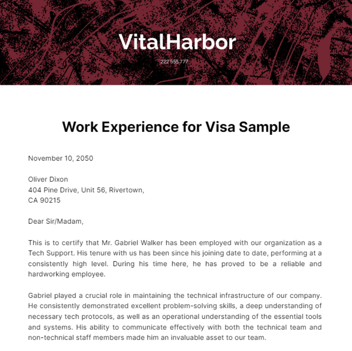 Work Experience for Visa Sample Template