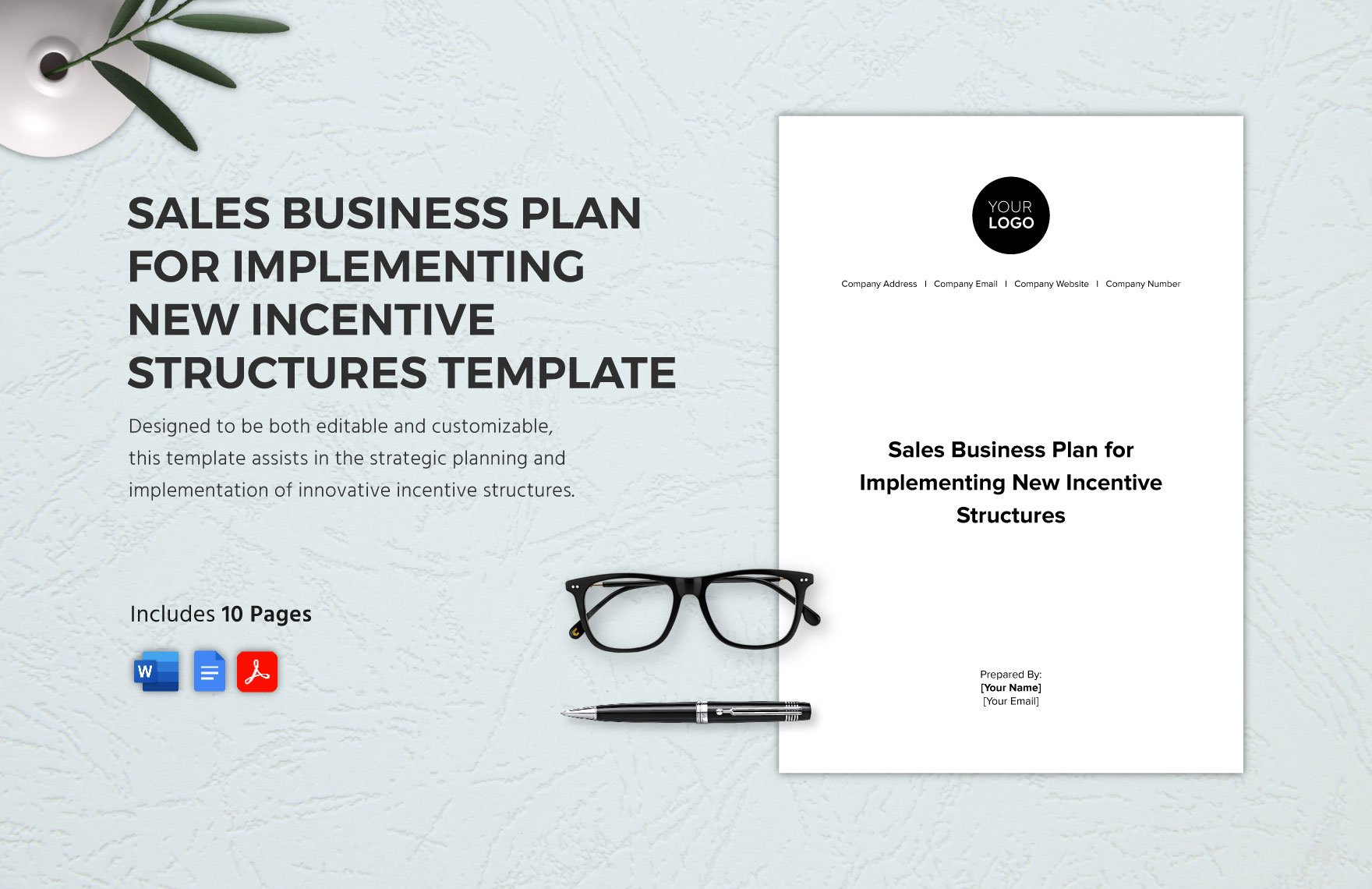 Sales Business Plan for Implementing New Incentive Structures Template