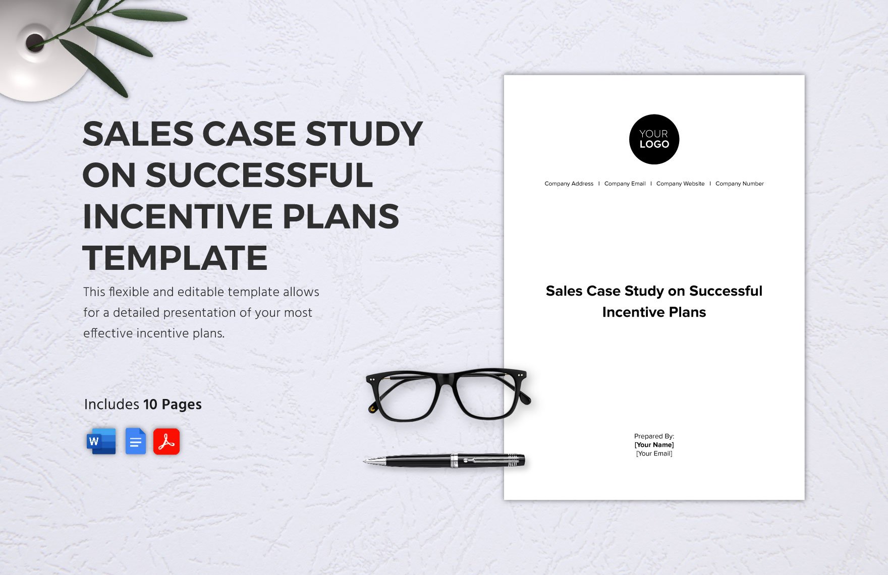 Sales Case Study on Successful Incentive Plans Template