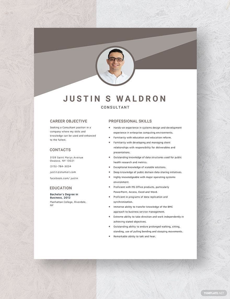 Consultant Resume in Word, Apple Pages
