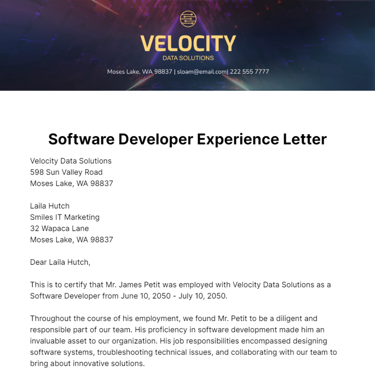 Software Developer Experience Letter   Template
