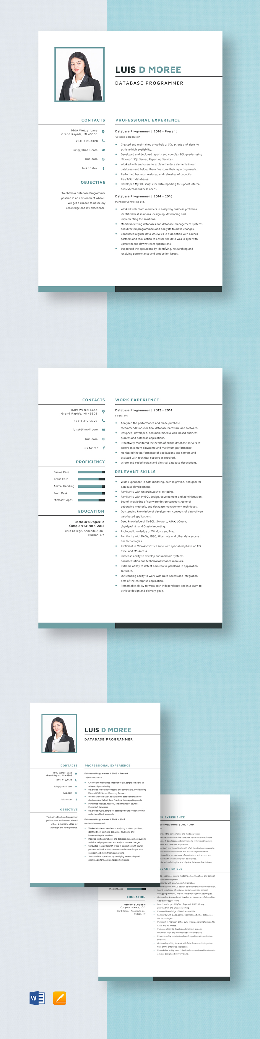 Database Programmer Resume Template - Word, Apple Pages | Template.net