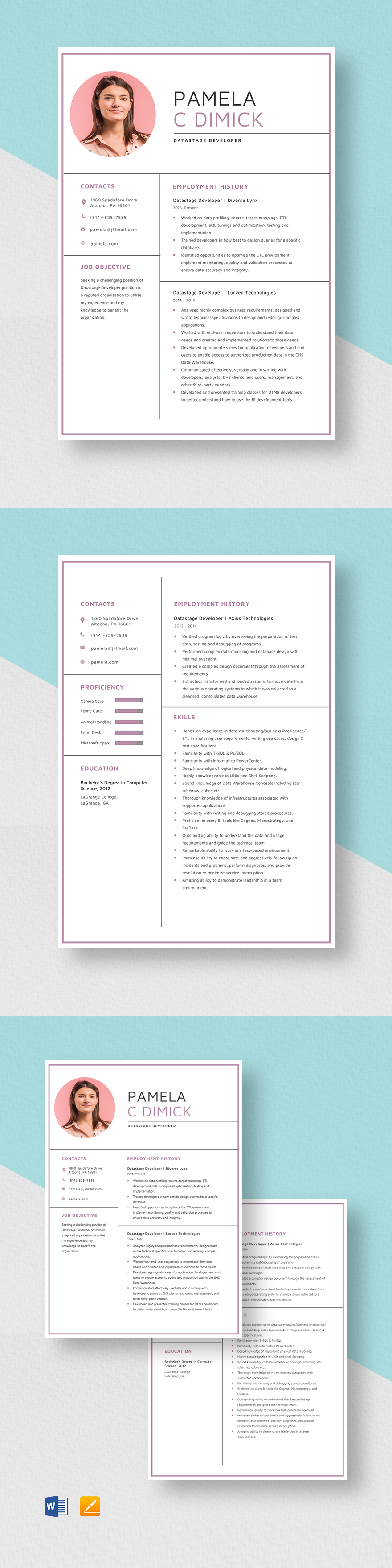 Datastage Developer Resume Template Word, Apple Pages