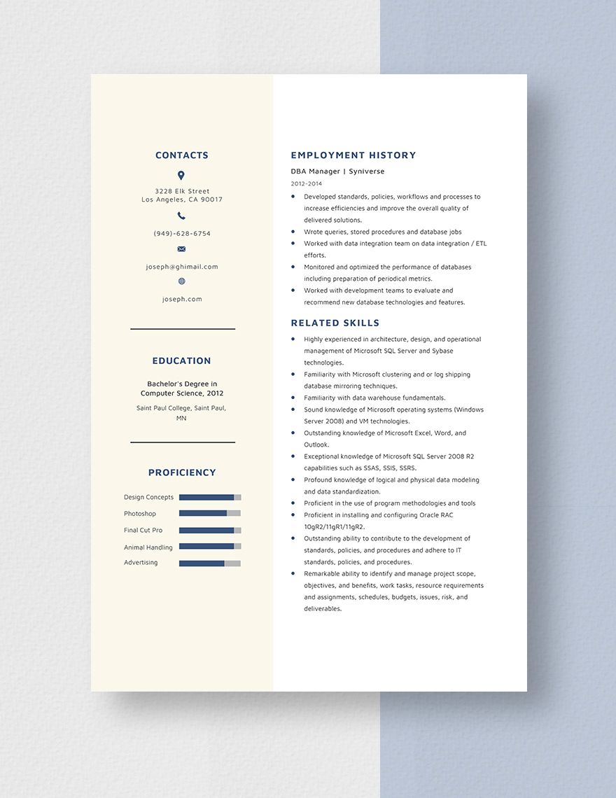 DBA Manager Resume