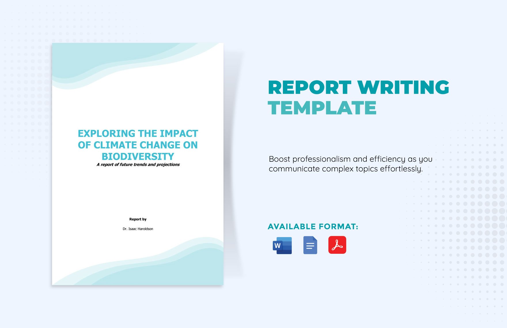 Report Writing Template