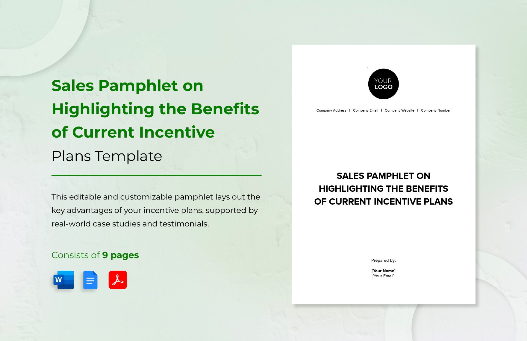 Sales Pamphlet on Highlighting the Benefits of Current Incentive Plans Template