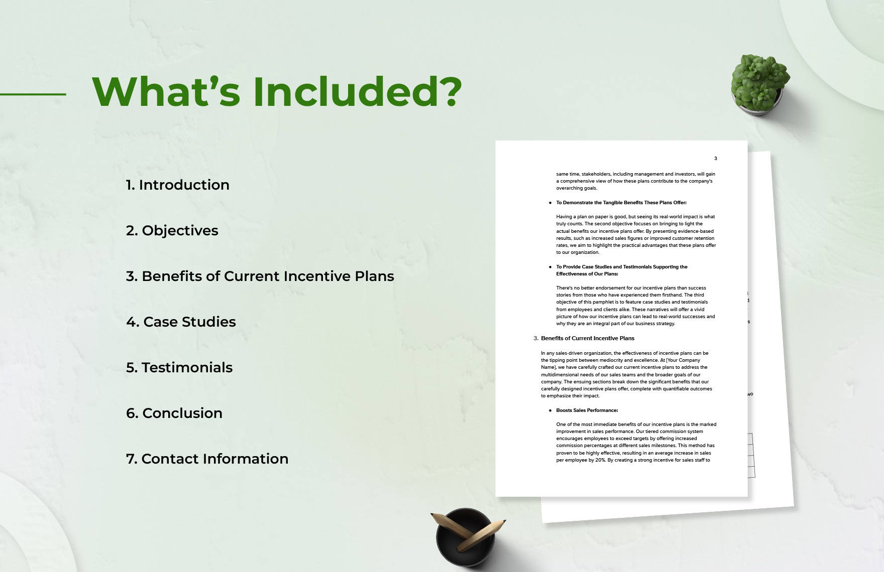 Sales Pamphlet on Highlighting the Benefits of Current Incentive Plans Template