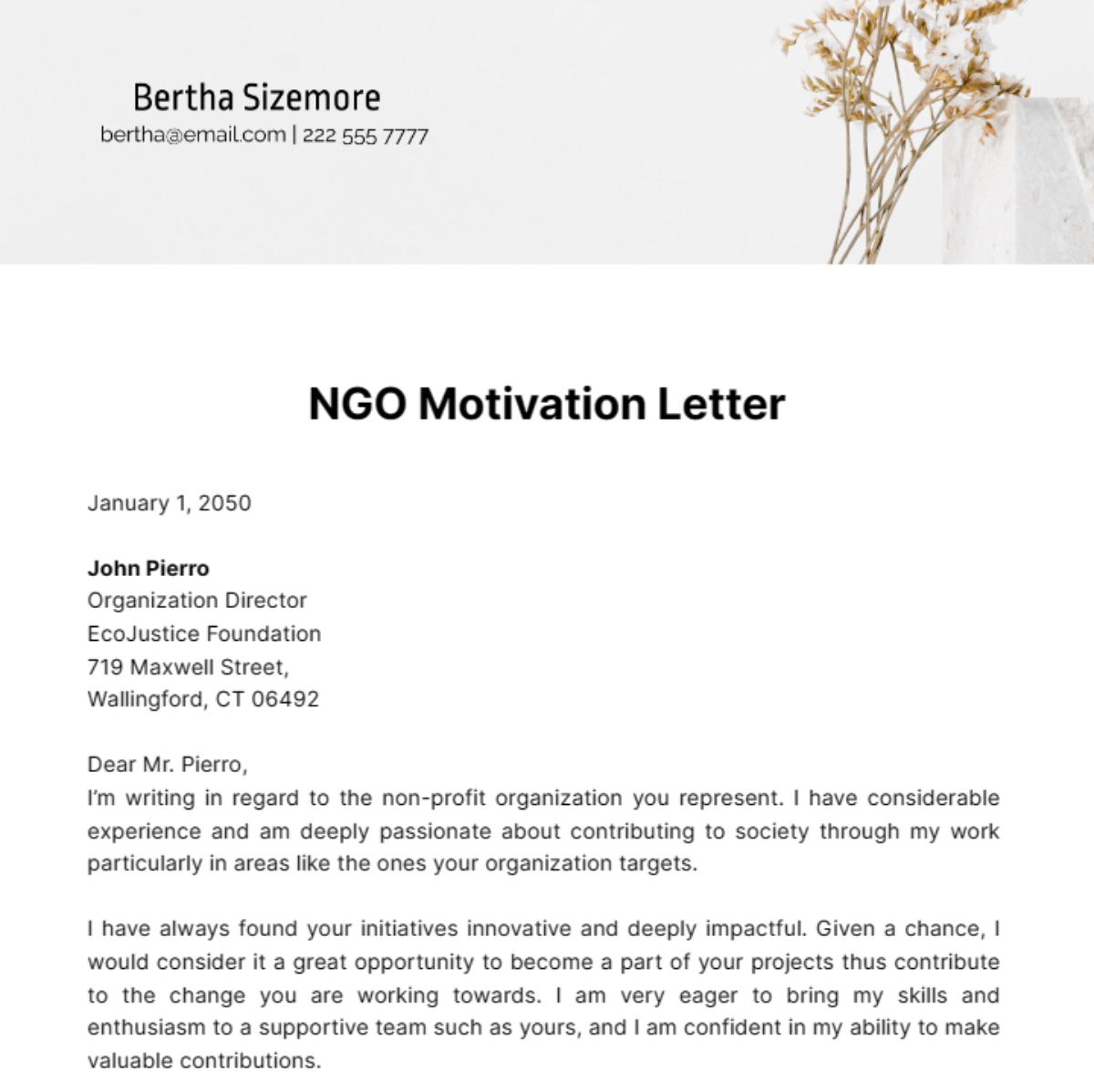 NGO Motivation Letter Template