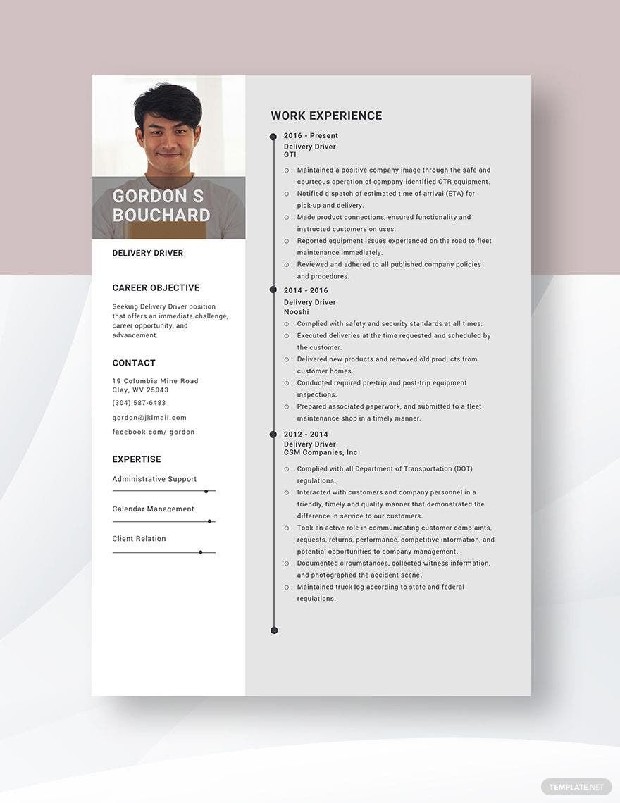 Delivery Driver Resume in Word, Apple Pages