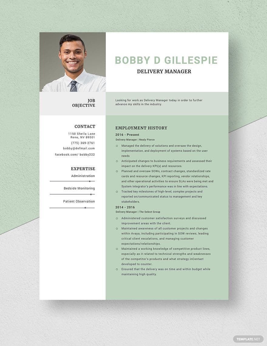 Delivery Manager Resume in Word, Apple Pages