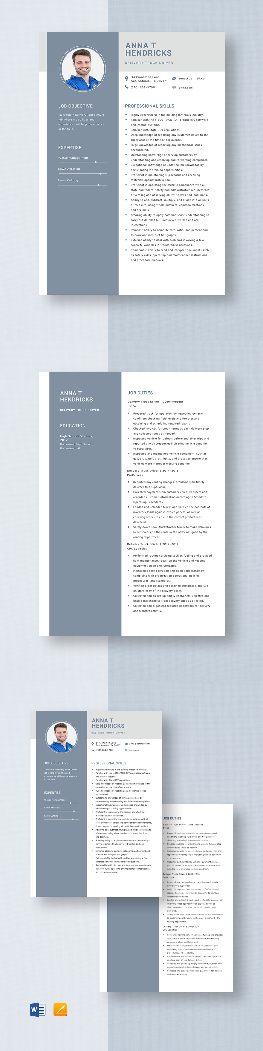 Delivery Truck Driver Resume Template