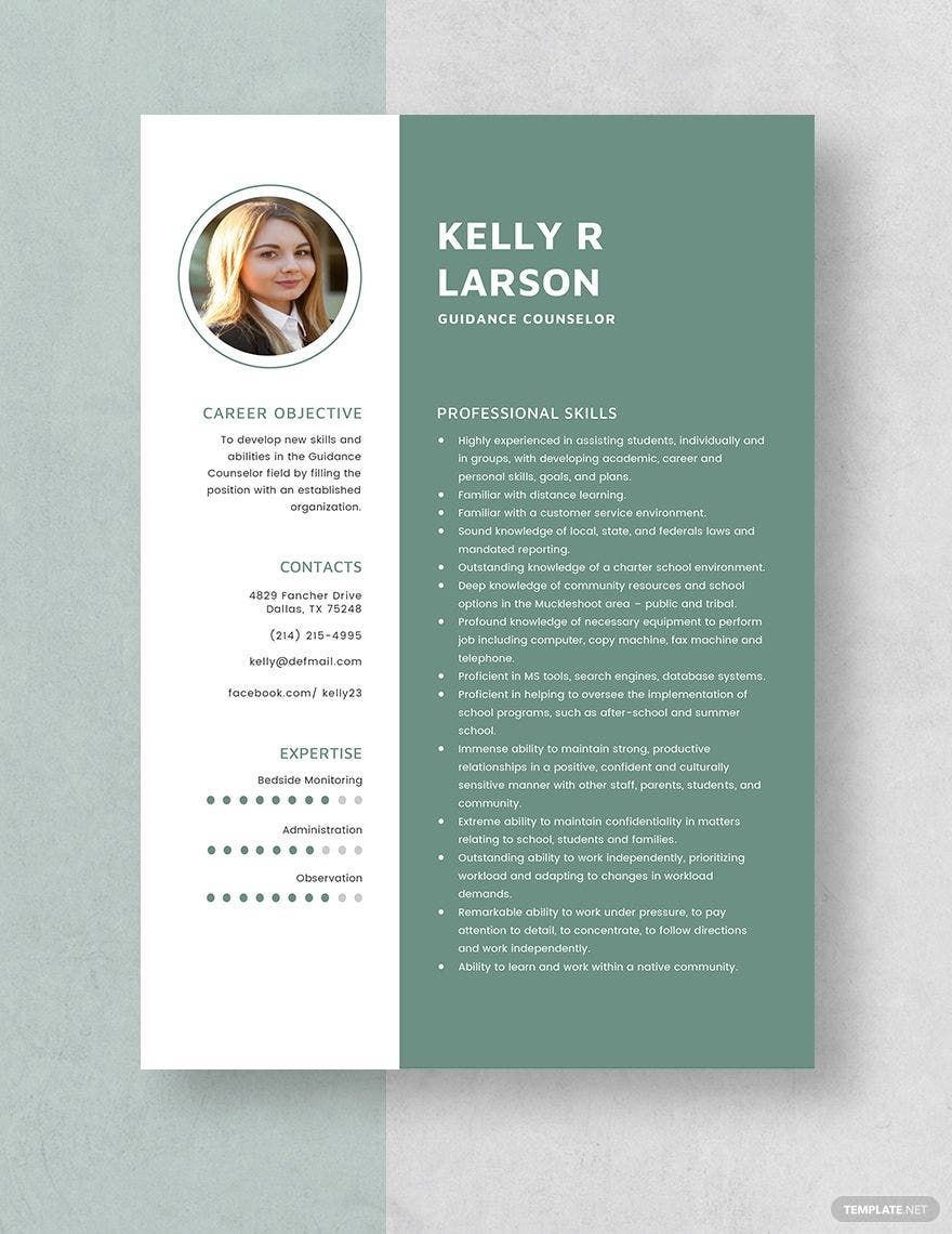 Free Guidance Counselor Resume in Word, Apple Pages
