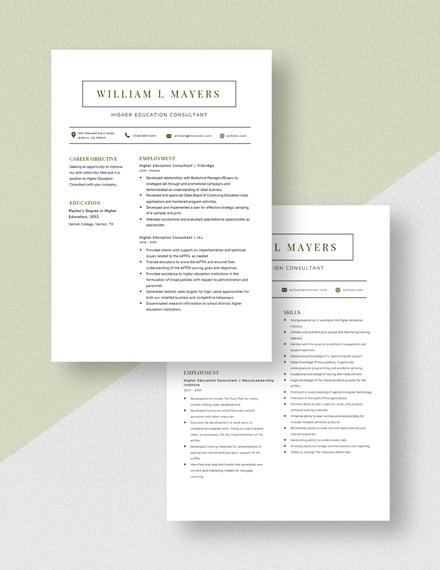 Higher Education Consultant Resume Download