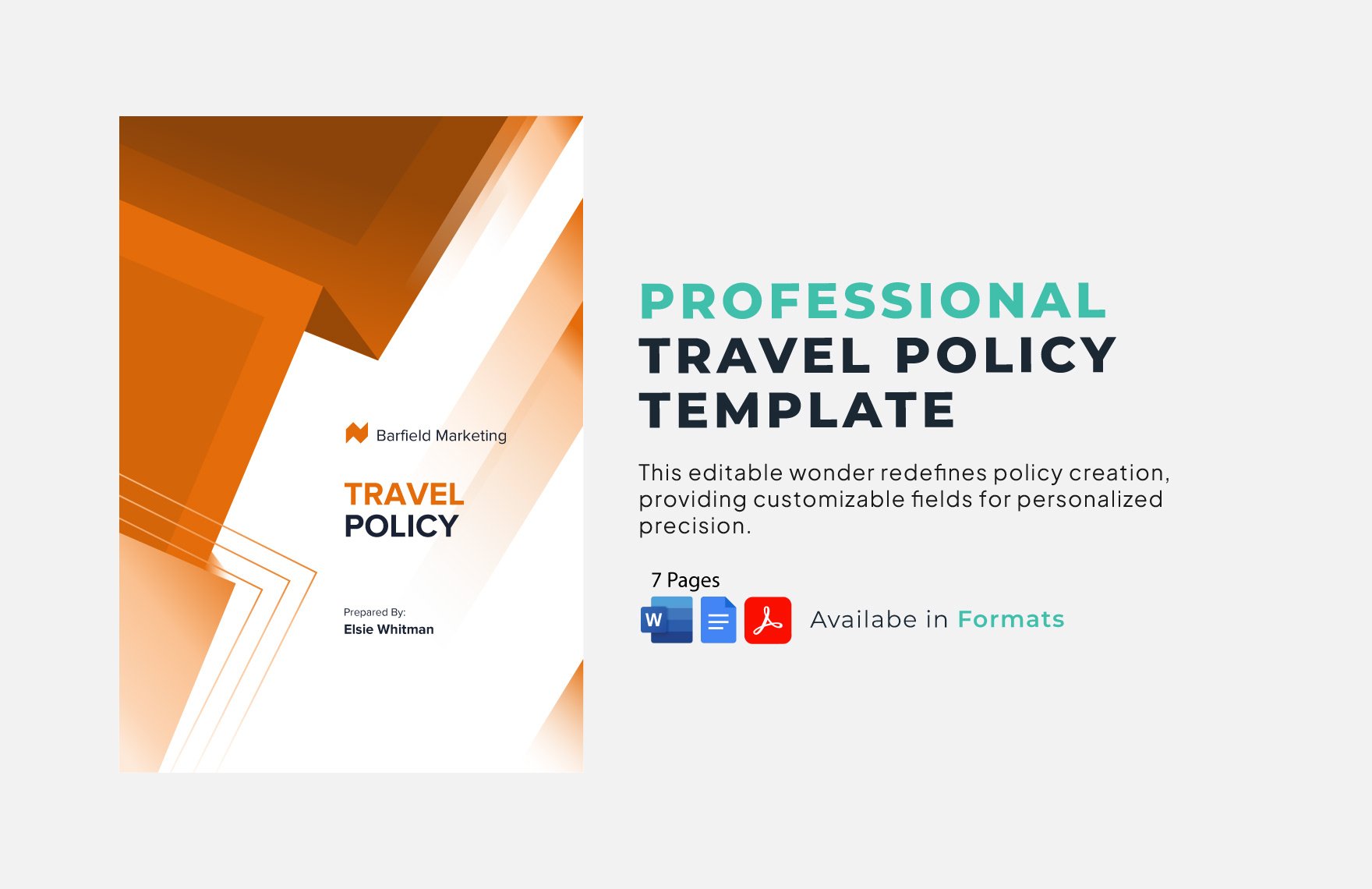 Travel Policy Template in Word, Google Docs, PDF