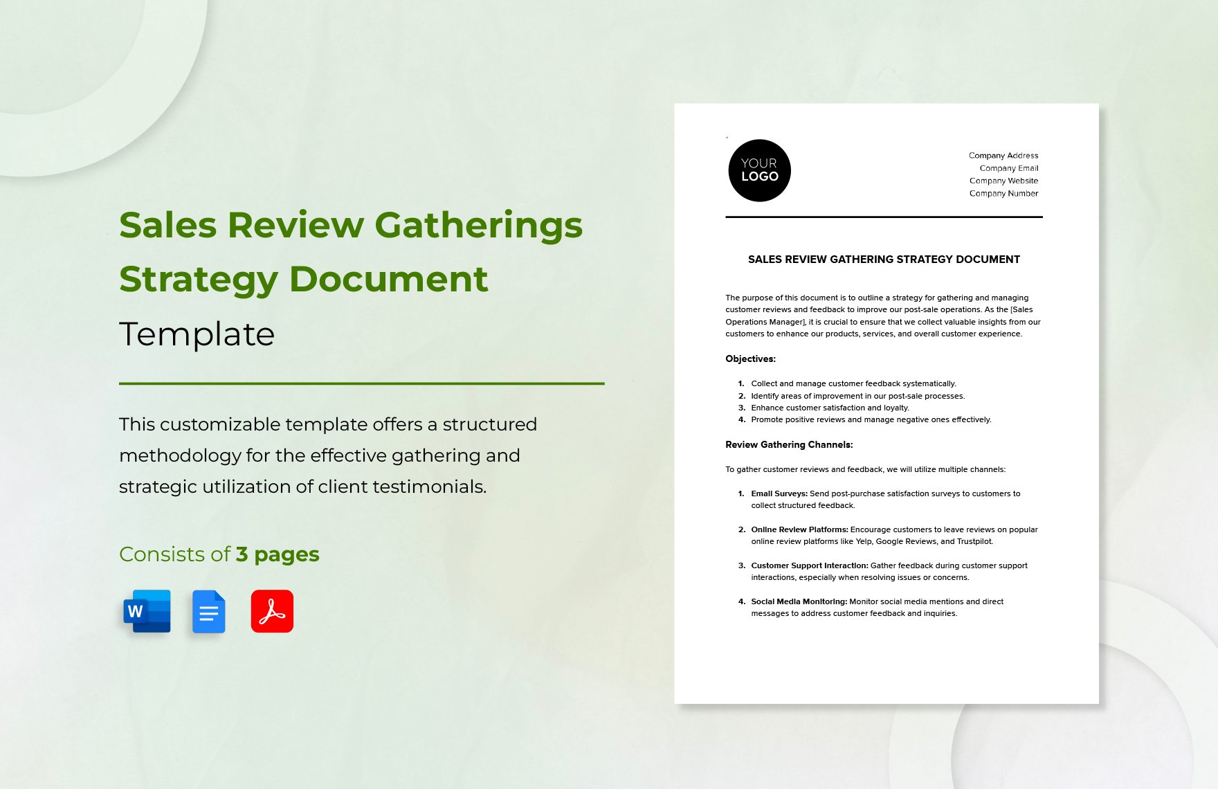 Sales Review Gathering Strategy Document Template