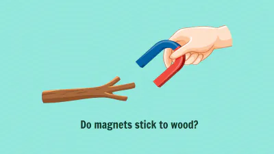 Free Simple Magnet Experiments Template to Edit Online