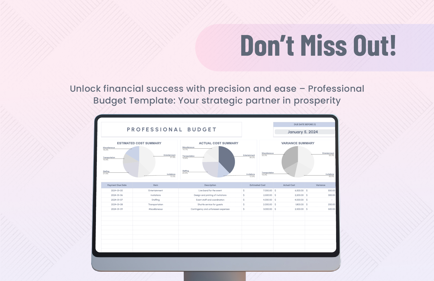 Professional Budget Template Download in Excel, Google Sheets