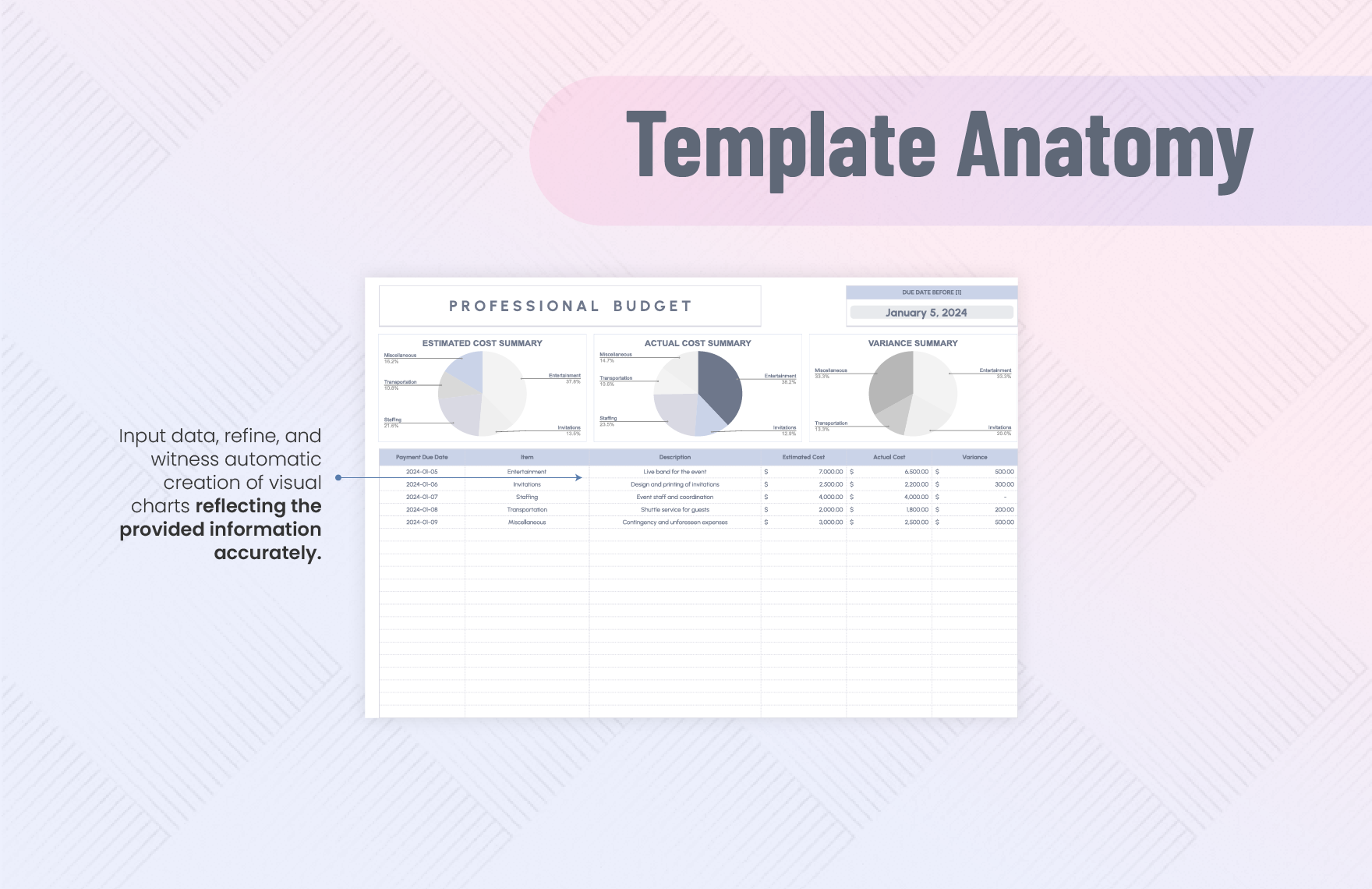 Professional Budget Template Download in Excel, Google Sheets