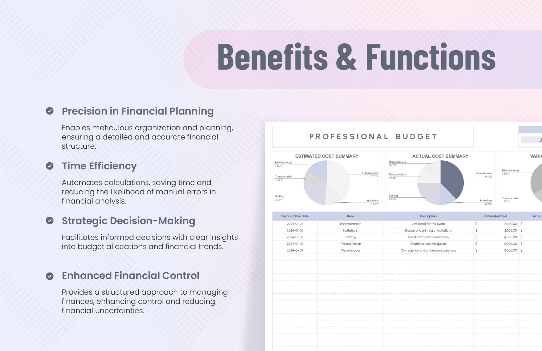 Professional Budget Template Download in Excel, Google Sheets