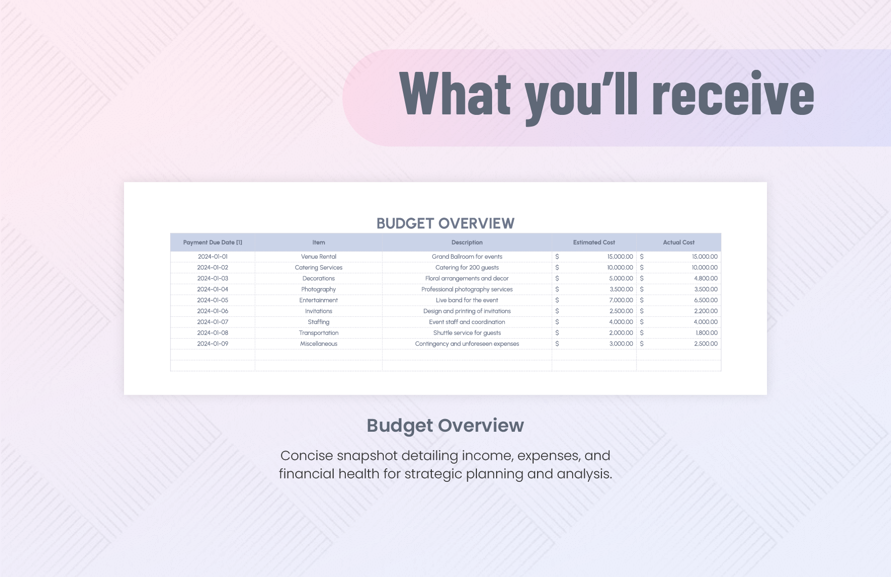 Professional Budget Template