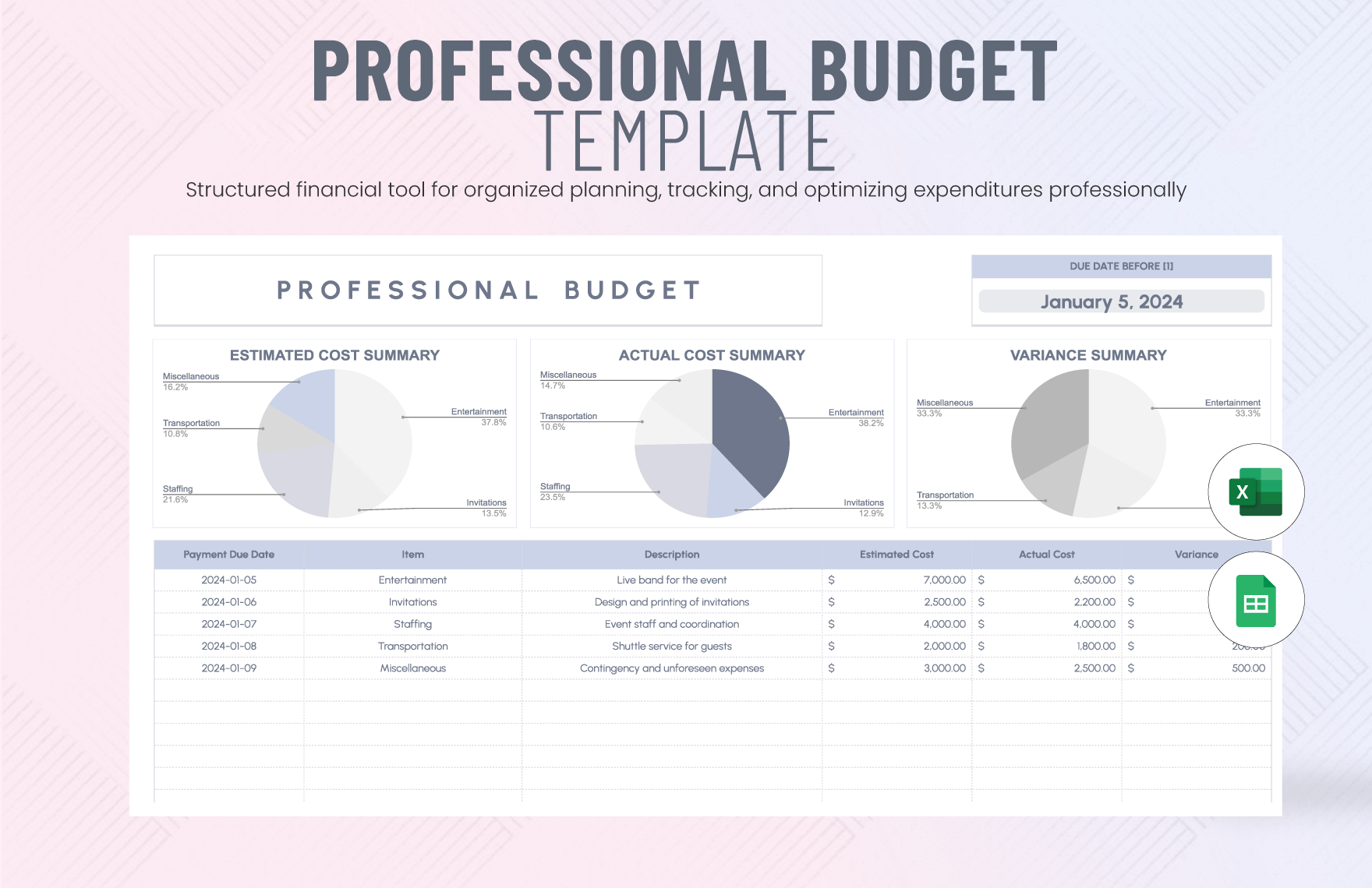 Professional Budget Template in Excel, Google Sheets