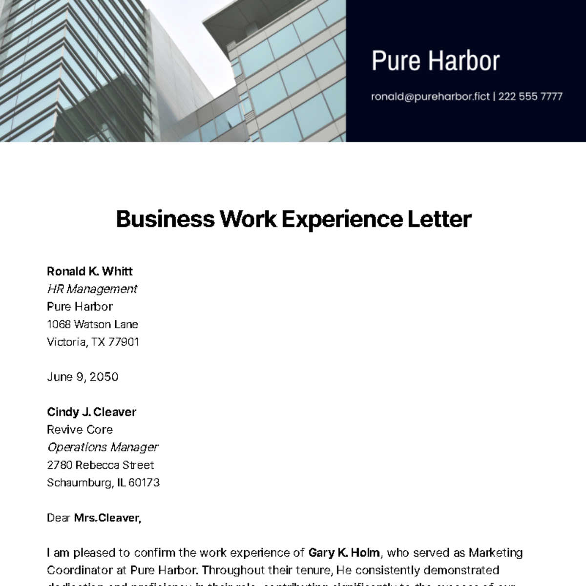 Business Work Experience Letter Template