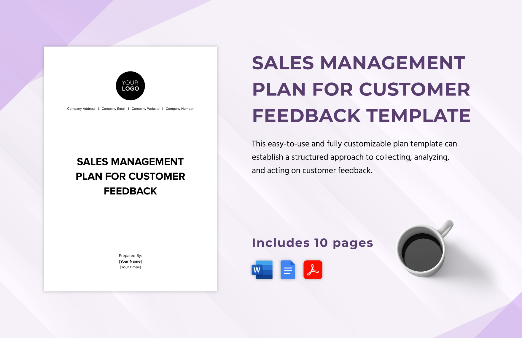 Sales Management Plan for Customer Feedback Template in Word, Google Docs, PDF