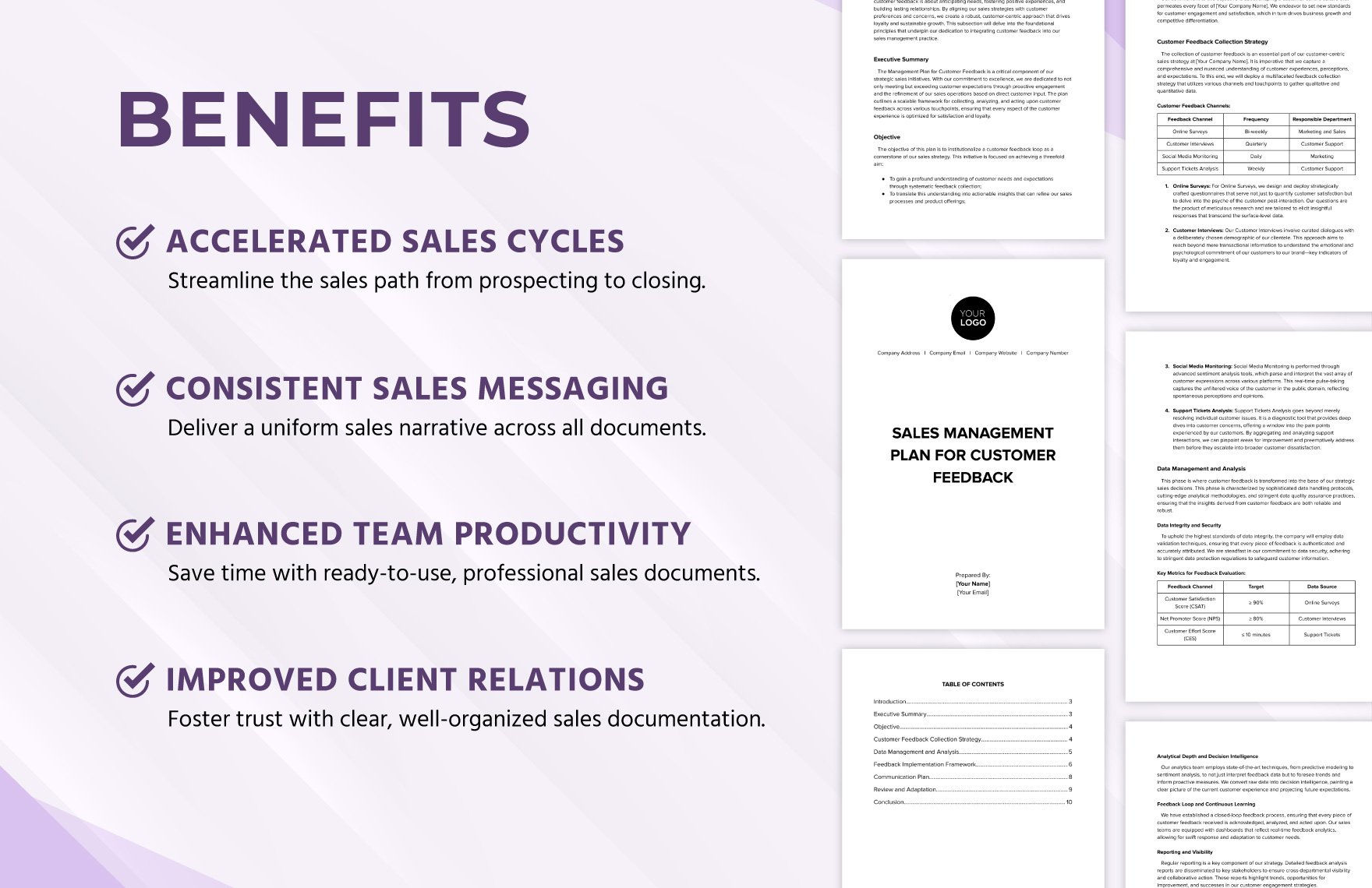 Sales Management Plan for Customer Feedback Template