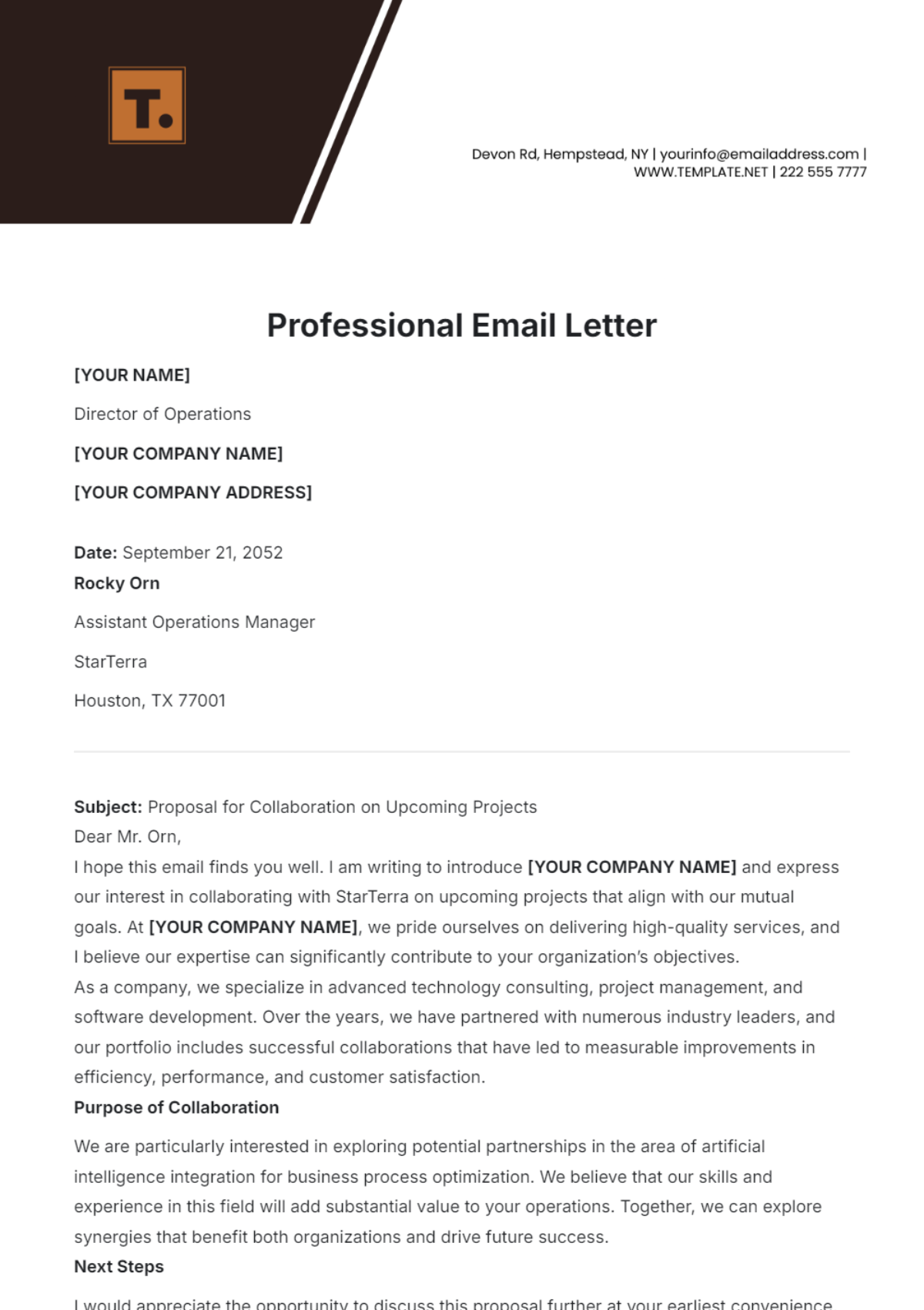 Professional Email Letter Template - Edit Online & Download