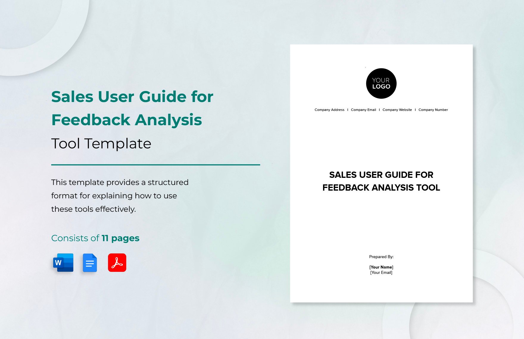 Sales User Guide for Feedback Analysis Tools Template