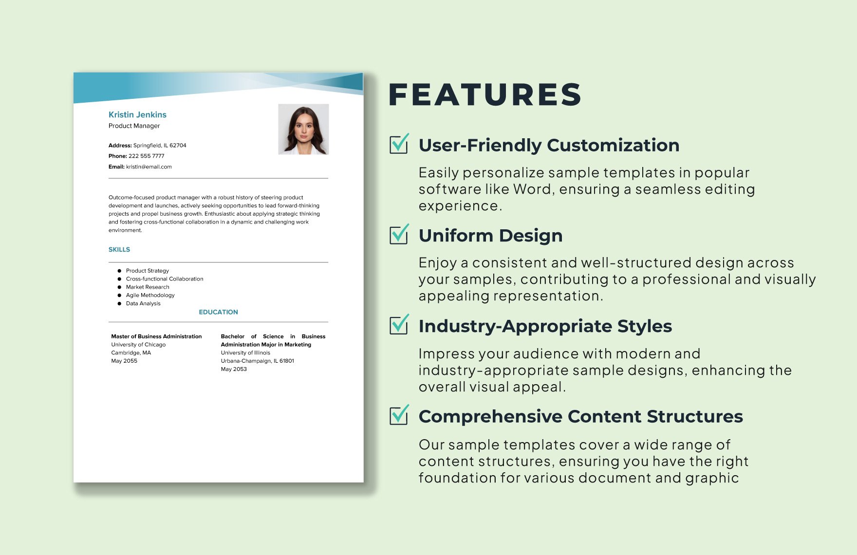 Sample Professional CV Template